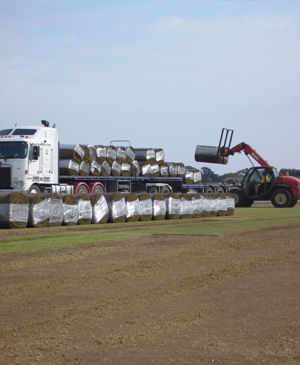 Instant Turf South Australia