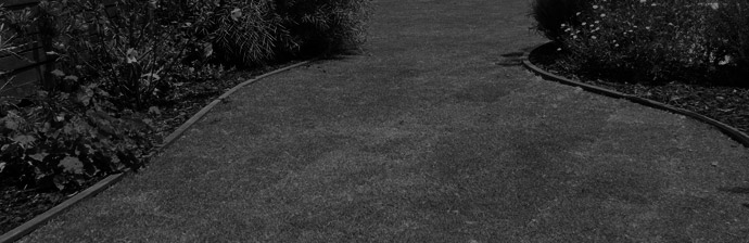 Grass and lawn South Australia