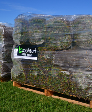 Instant Turf South Australia